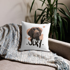 Coussin personnalisé