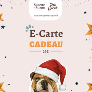 E-CARTE CADEAU
