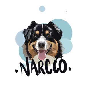 Portrait personnalisé numérique HD